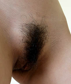 Asian Slut Lien from Vietnam Got Hairy Bush 04